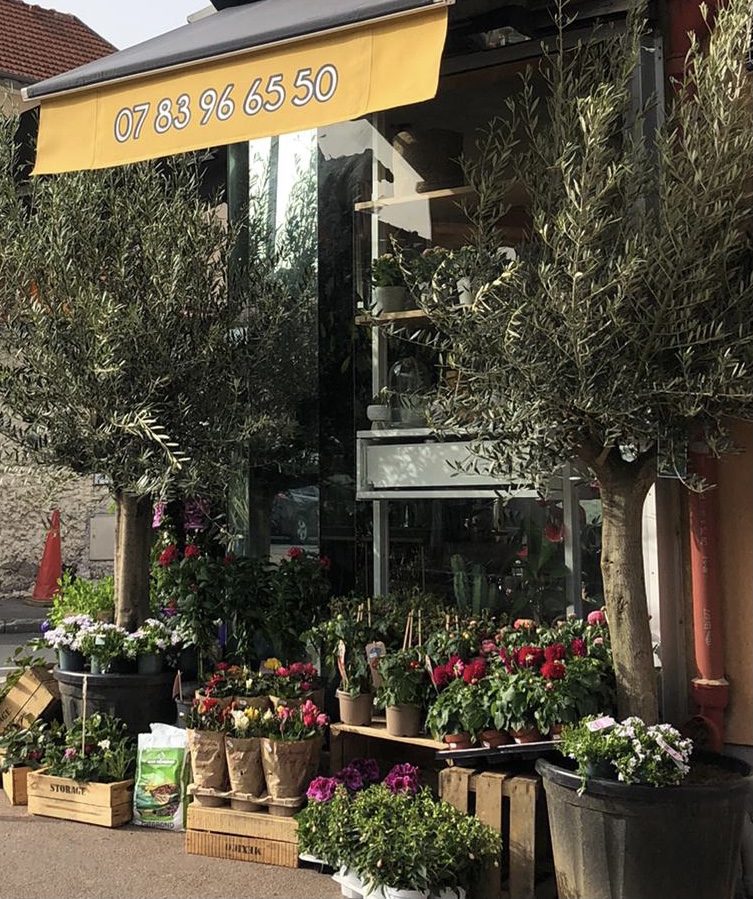 Etalage de plantes et de fleurs sur le trottoir